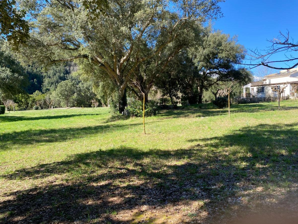 Campsite Ernella