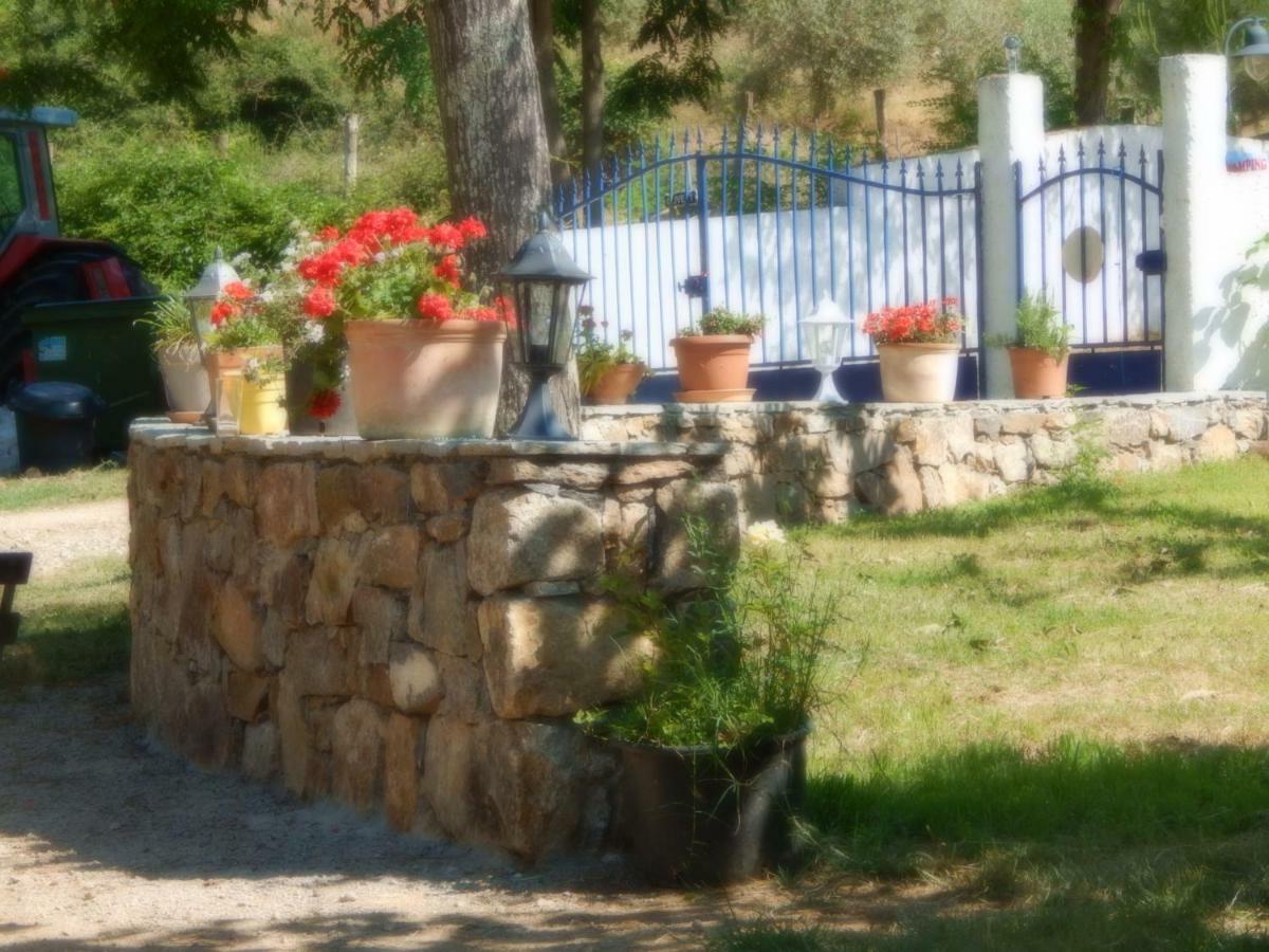 Ernella Campsite *